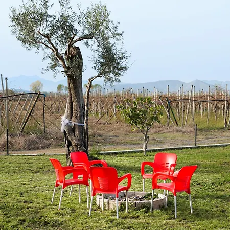 Bujtina Tushaj Lezhë