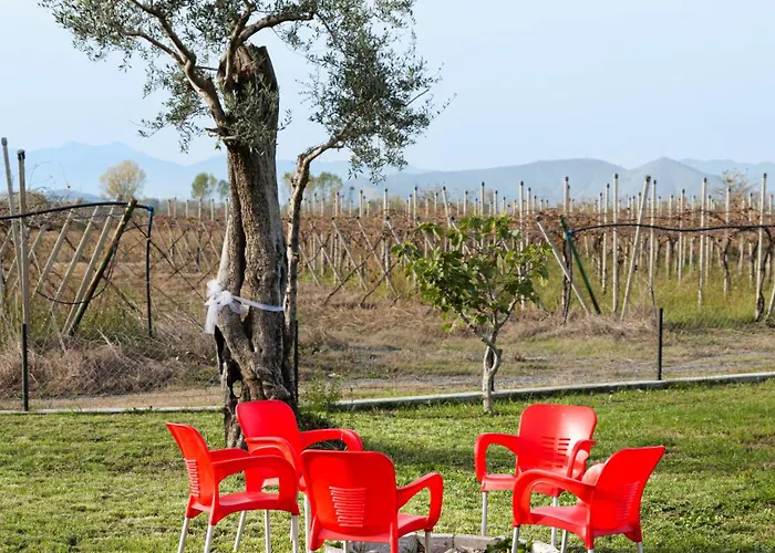 Bujtina Tushaj Lezhë